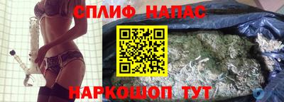 стаф Кингисепп