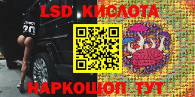 стаф Кингисепп