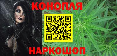 стаф Кингисепп