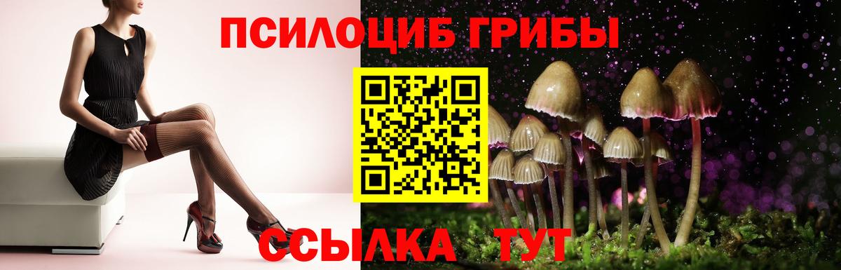 Псилоцибиновые грибы прущие грибы Клин